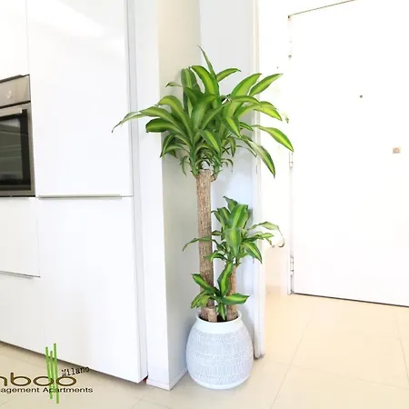 Apartment Bamboo Papiniano Loft *