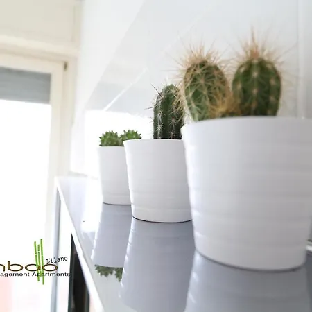 Apartament Bamboo Papiniano Loft
