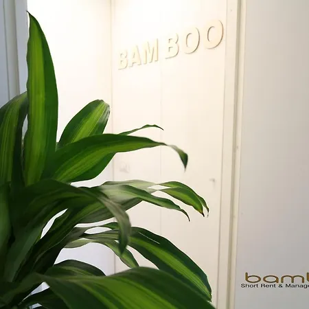 Bamboo Papiniano Loft Apartament
